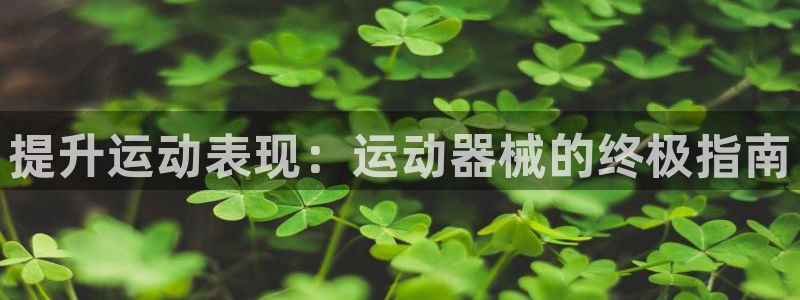 尊龙凯时怎么注销账号：提升运动表现：运动器械的终极指