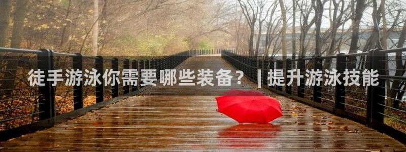 尊龙目前情况：徒手游泳你需要哪些装备？ | 提升游泳