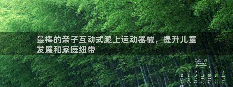 尊龙游戏官网：最棒的亲子互动式腿上运动器械，提升儿童